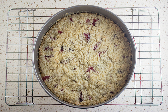 Quick Plum Streusel Cake (Pflaumenkuchen) by the Kitchen Maus